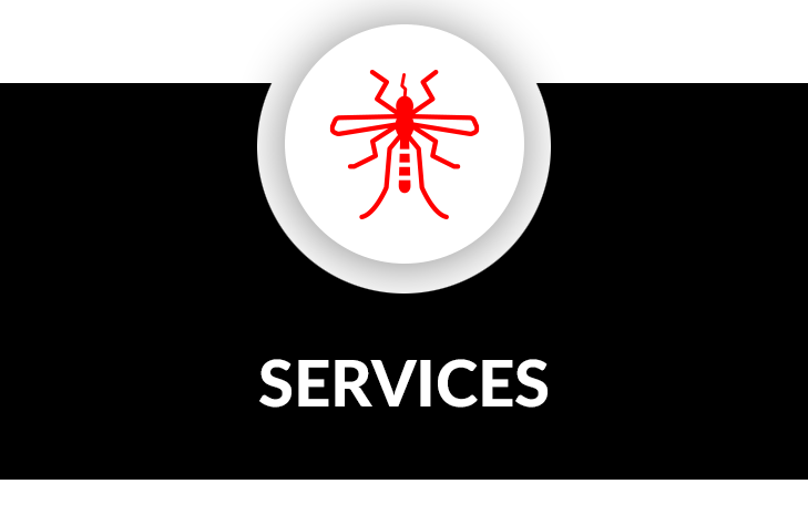 services banner