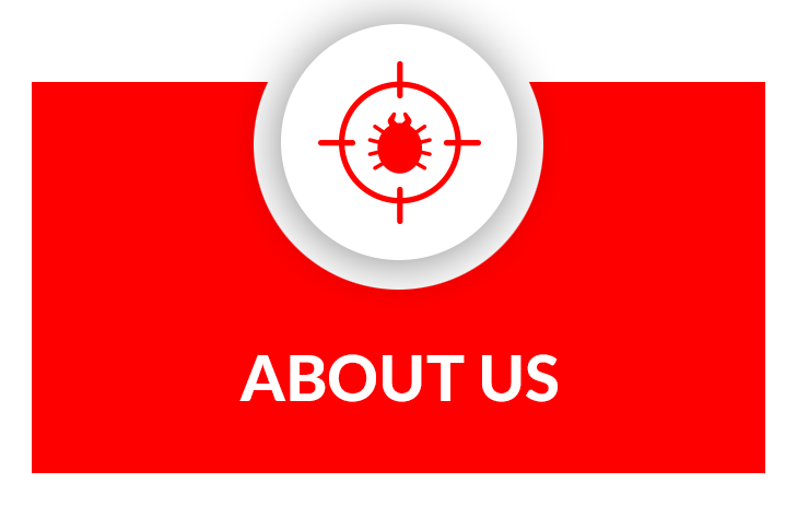 about us banner