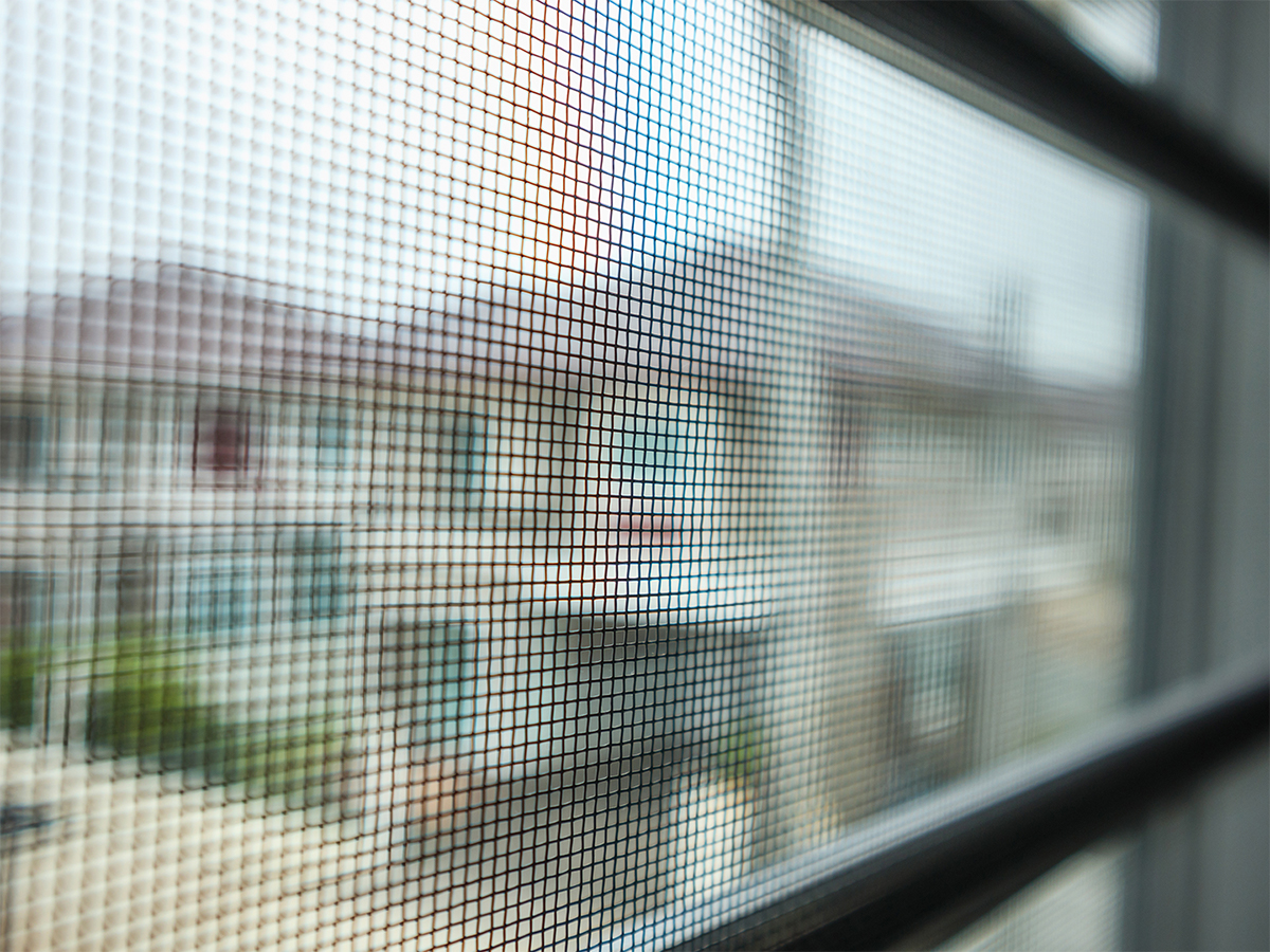 screen door of house